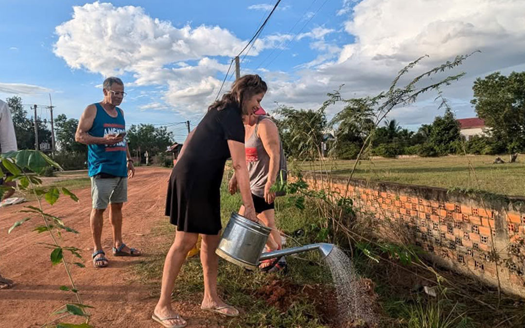 Planting Trees