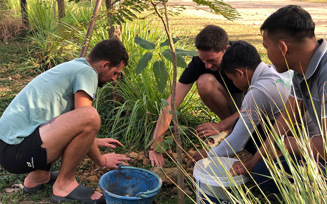 Planting Trees