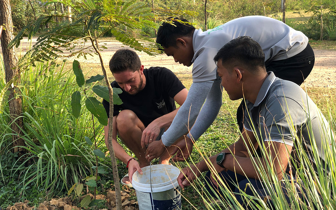 Planting Trees