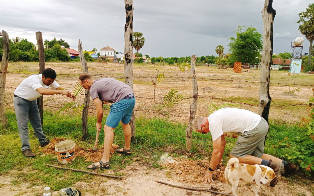 Planting Trees
