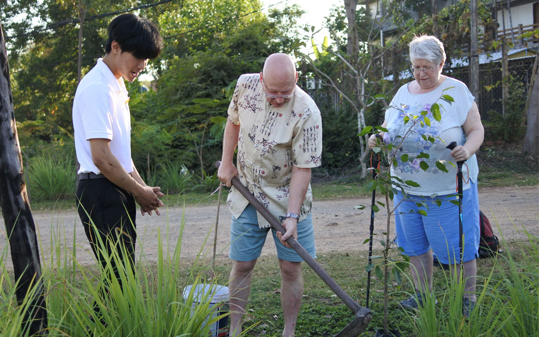 Planting Trees