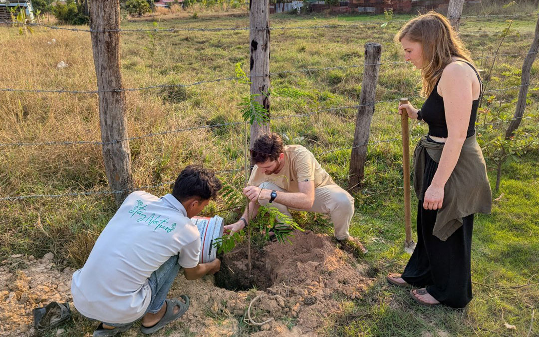 Planting Trees