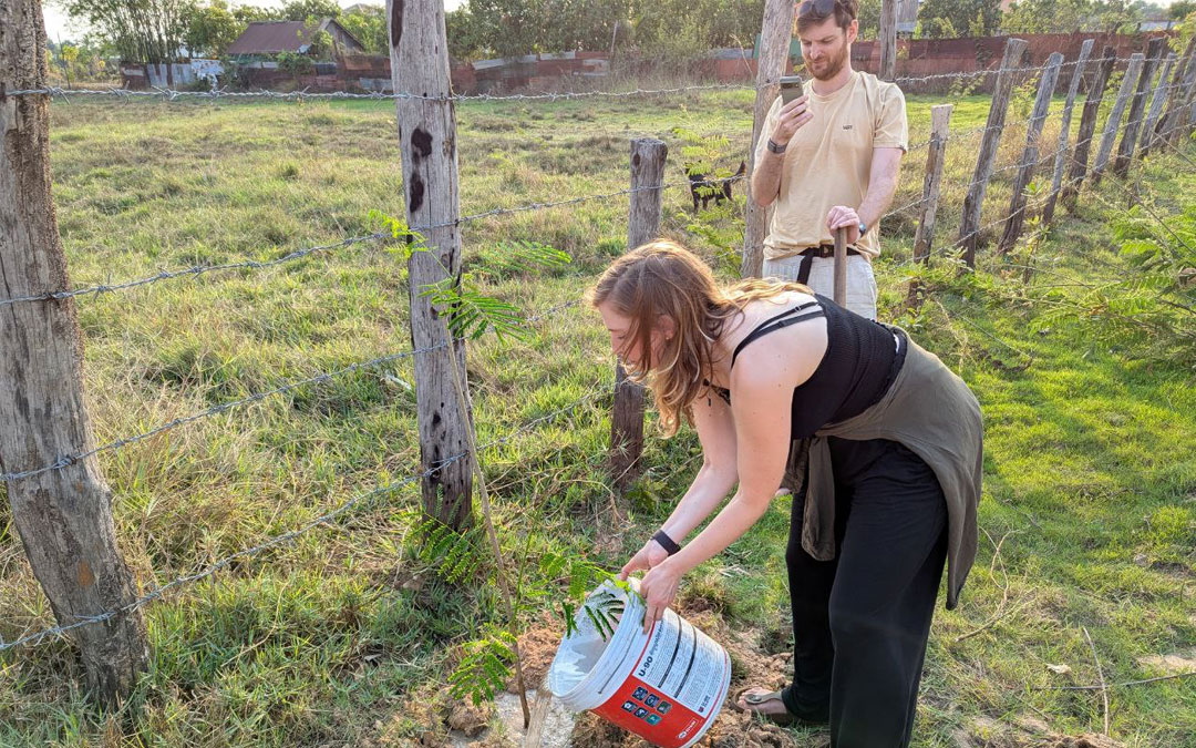 Planting Trees