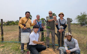 Planting Trees