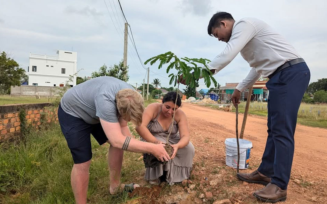 Planting trees