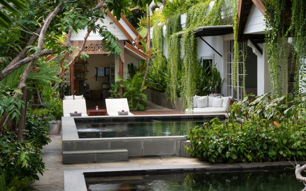 The Tree Pool