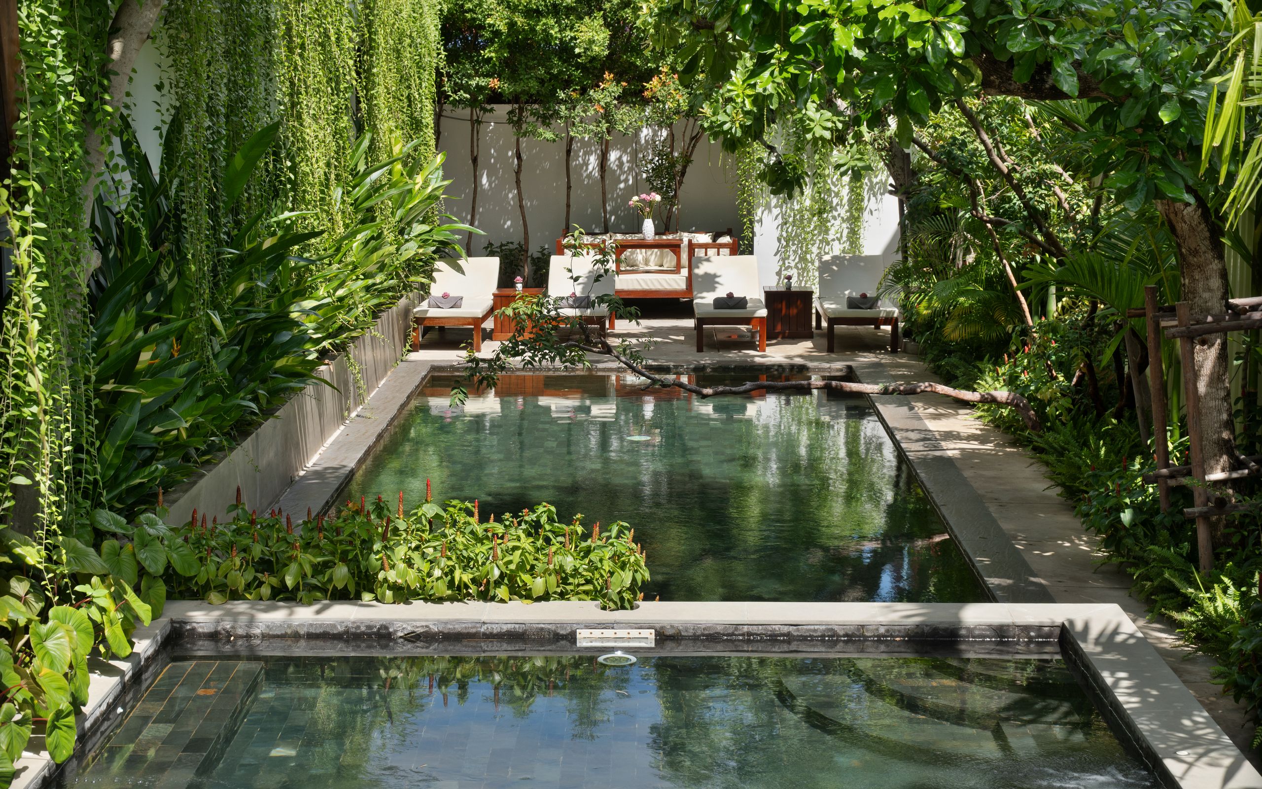 The Tree Pool