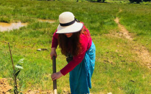 Tree planting