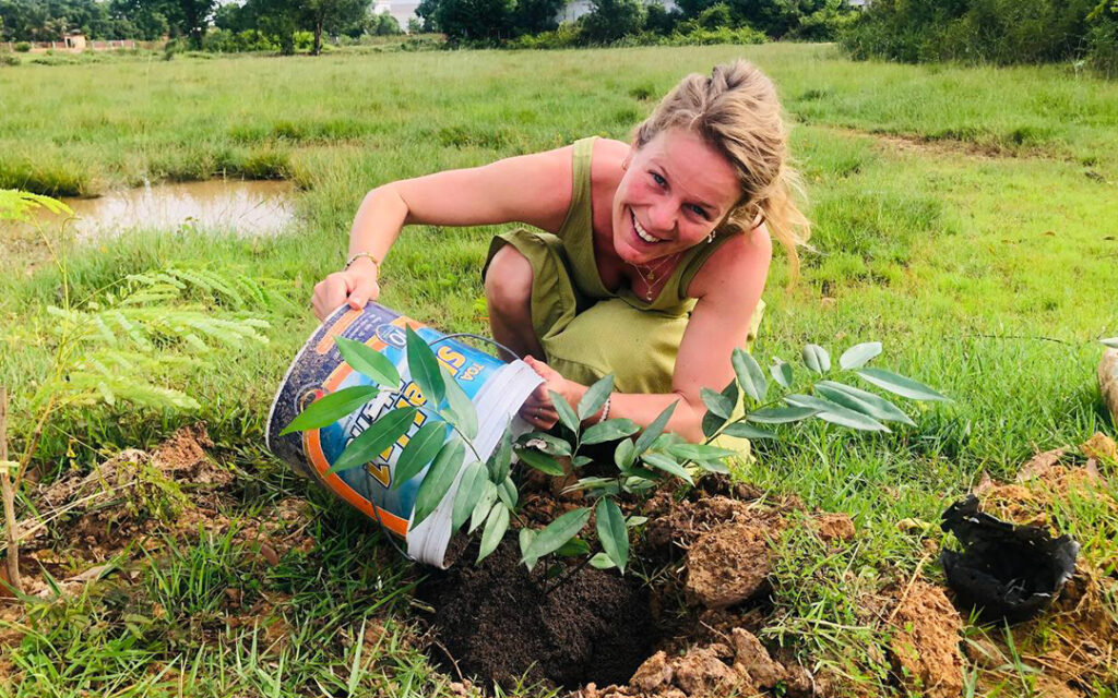Tree planting