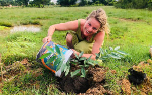 Tree planting