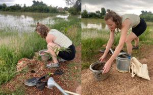 Planting Tree
