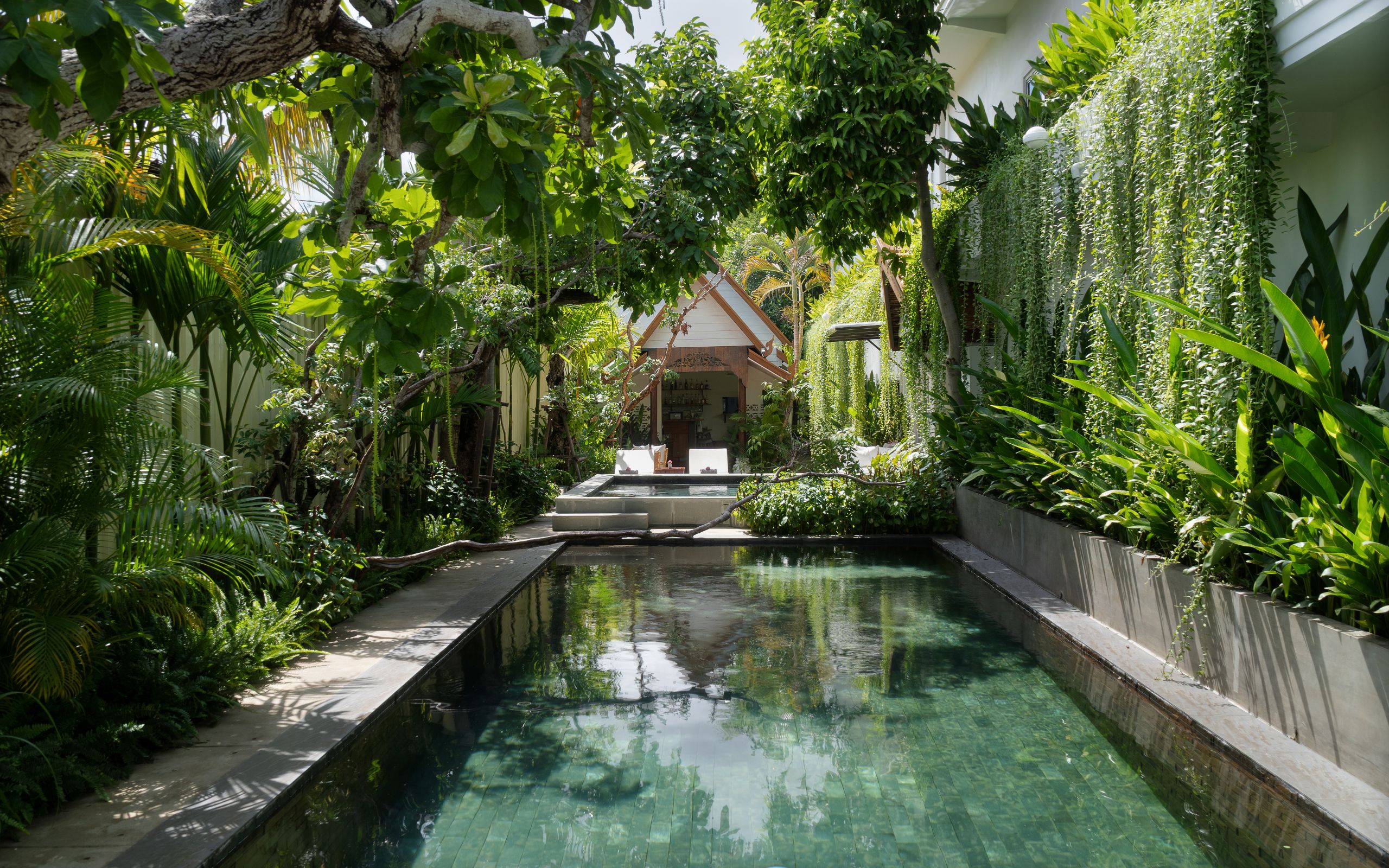 The Tree Pool