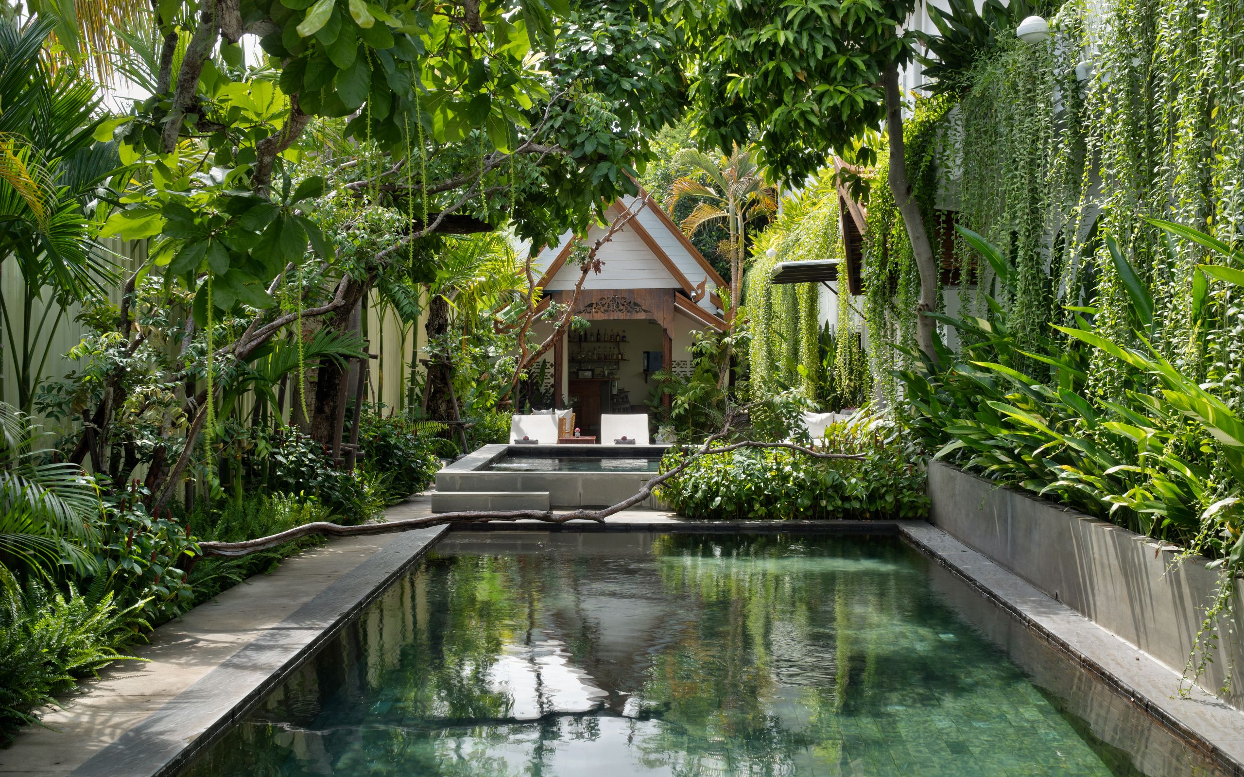 The Tree Pool