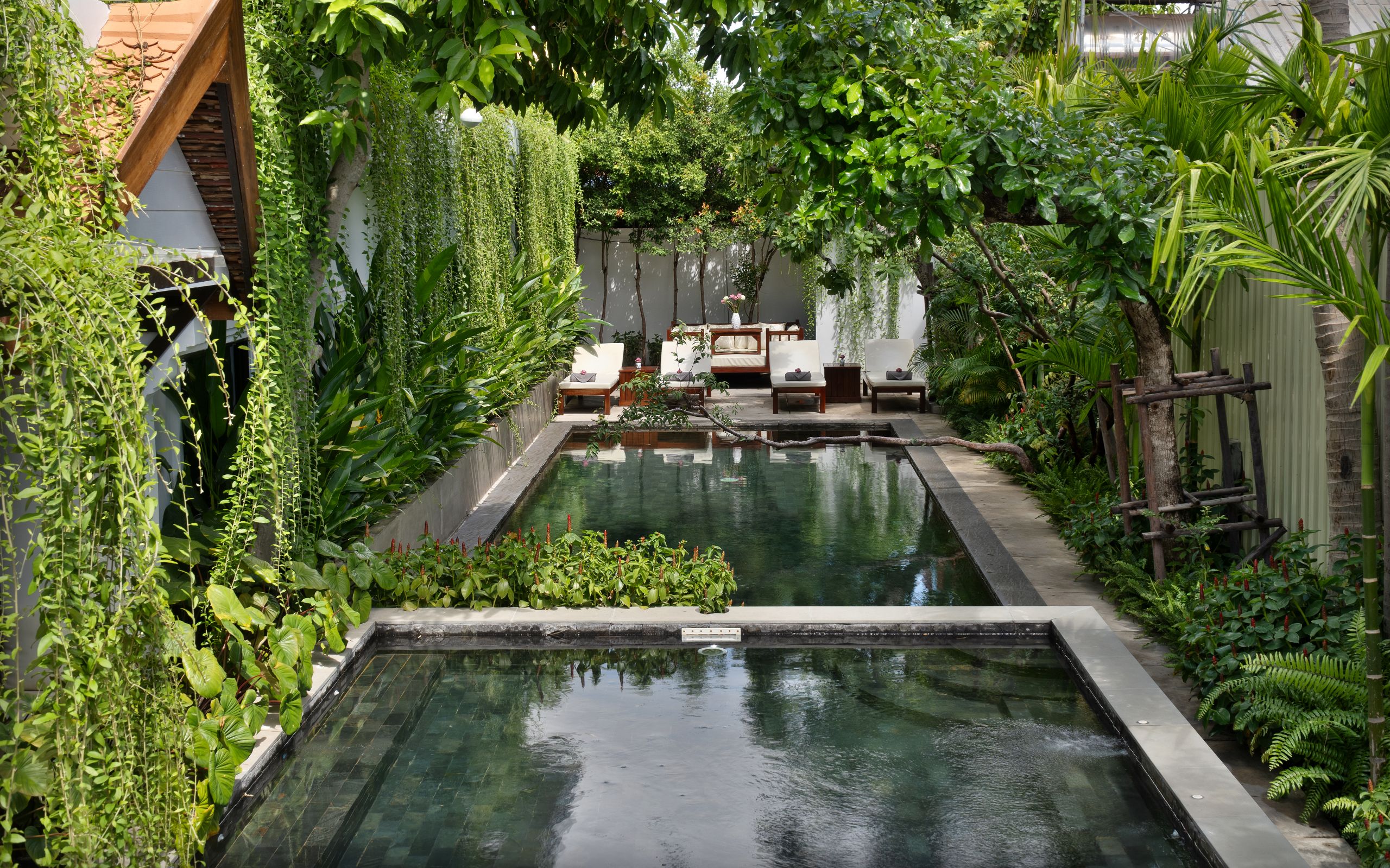 The Tree Pool