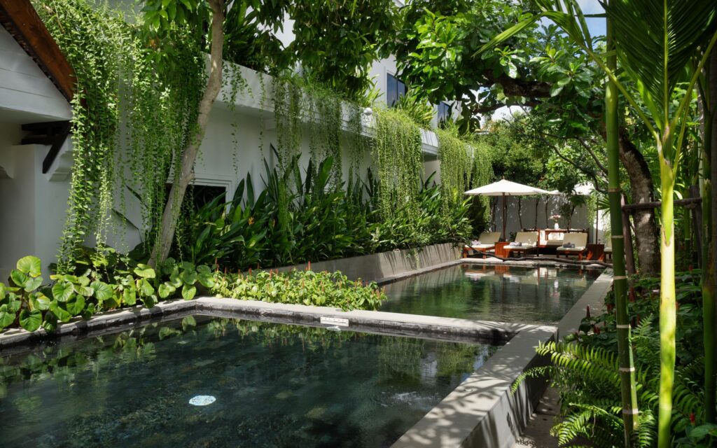 The Tree Pool