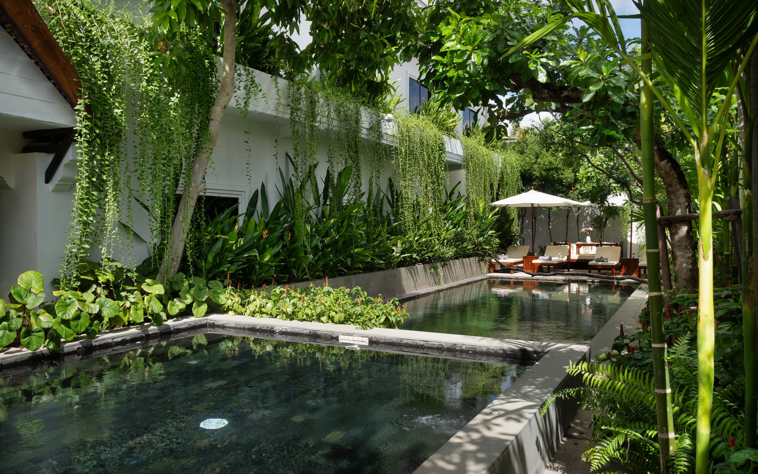The Tree Pool