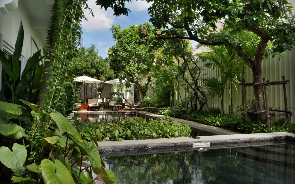 The Tree Pool