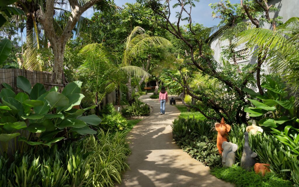 The Tree front area
