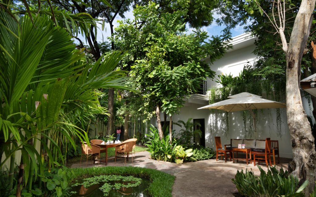 The Tree front area