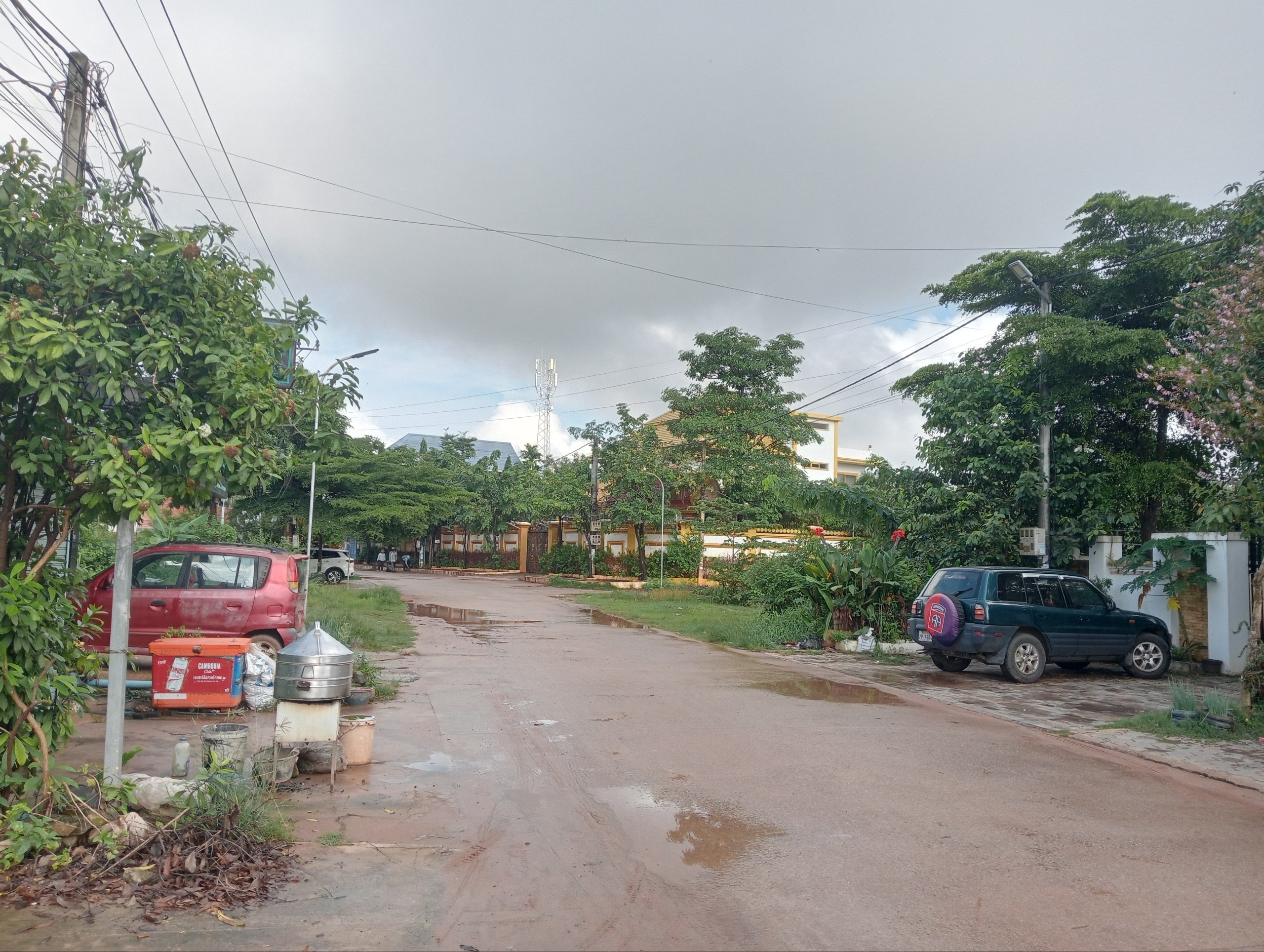 Stay Nature, Street garbage collection and clean up activities
