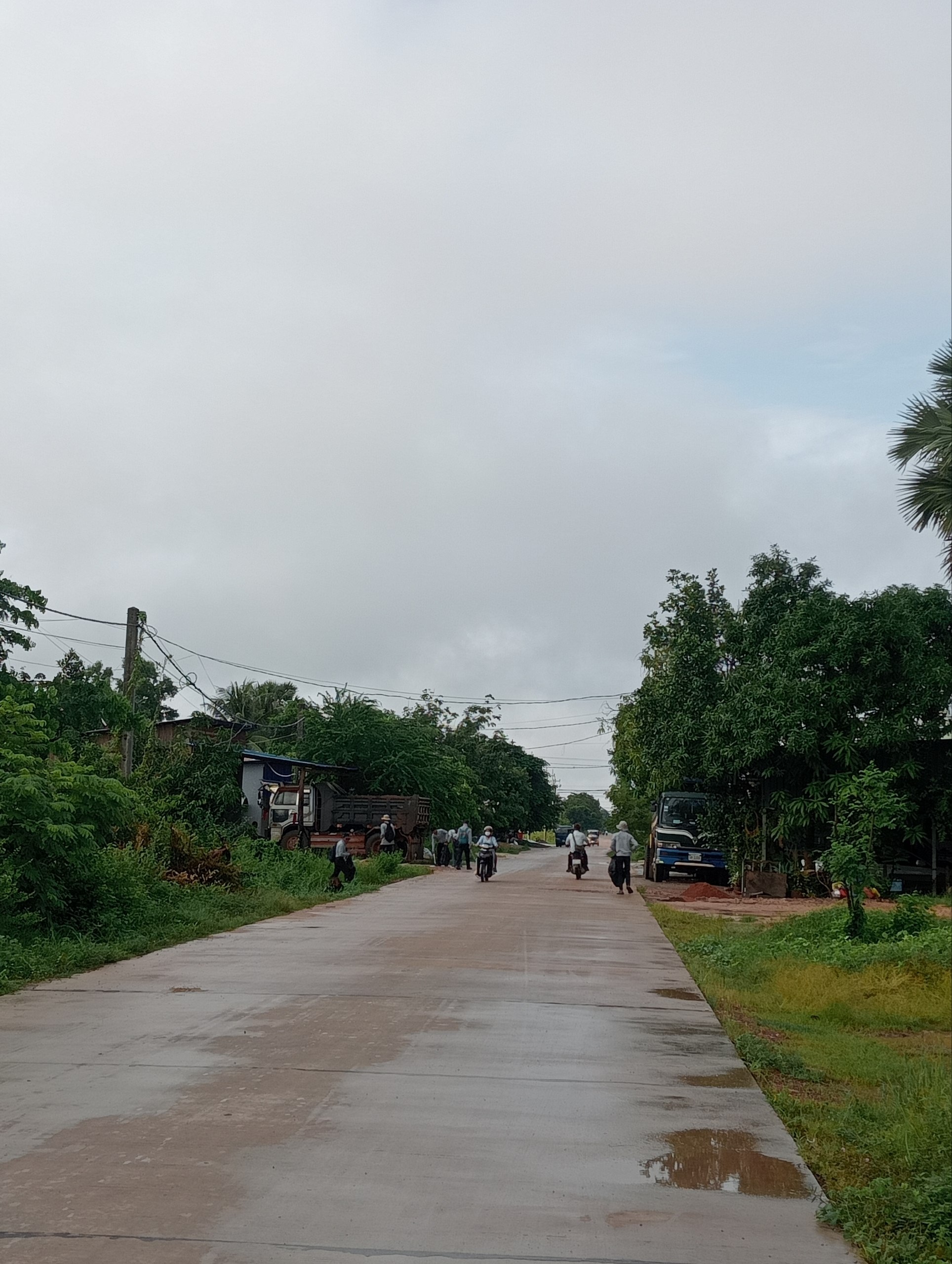 Stay Nature, Street garbage collection and clean up activities
