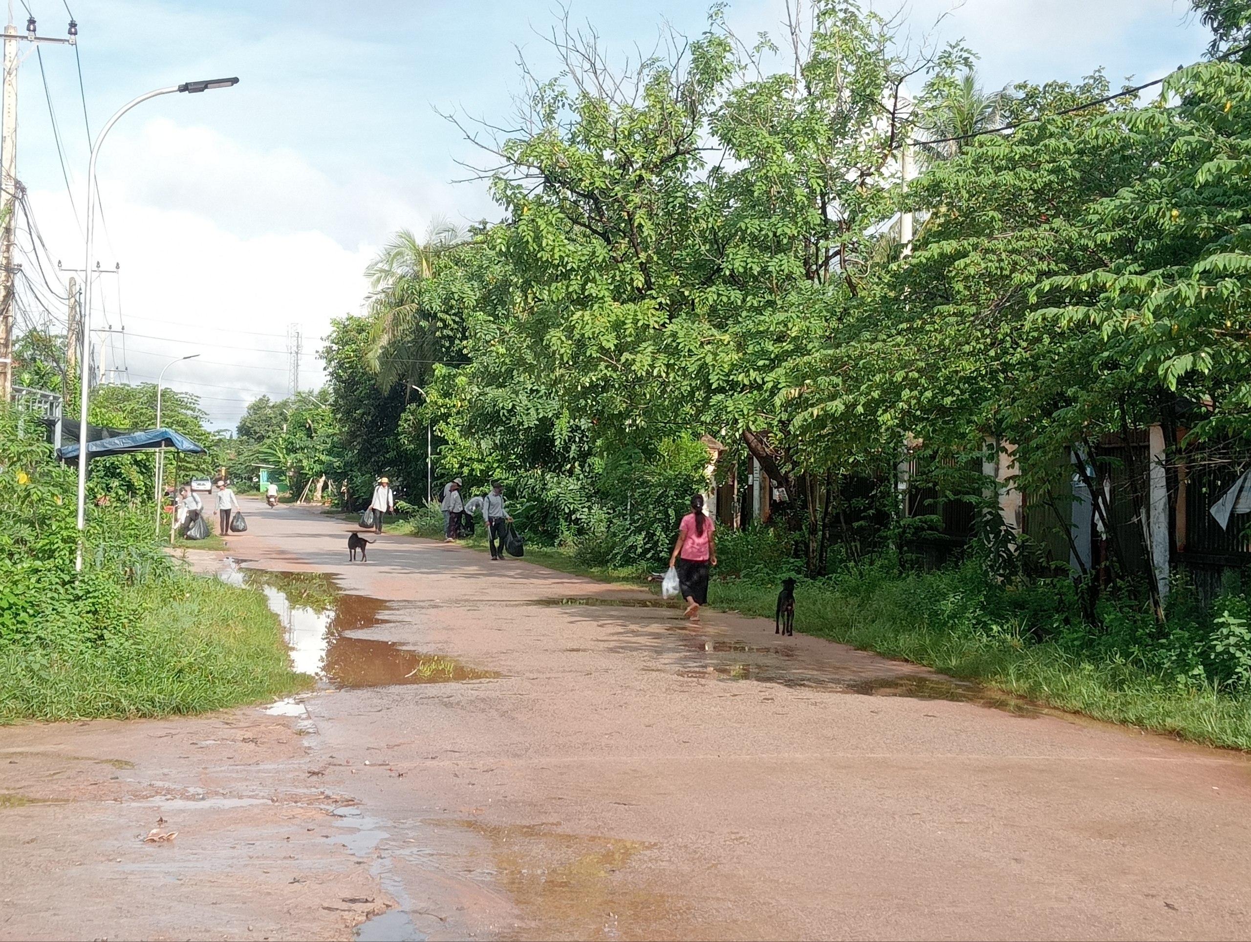 Stay Nature, Street garbage collection and clean up activities