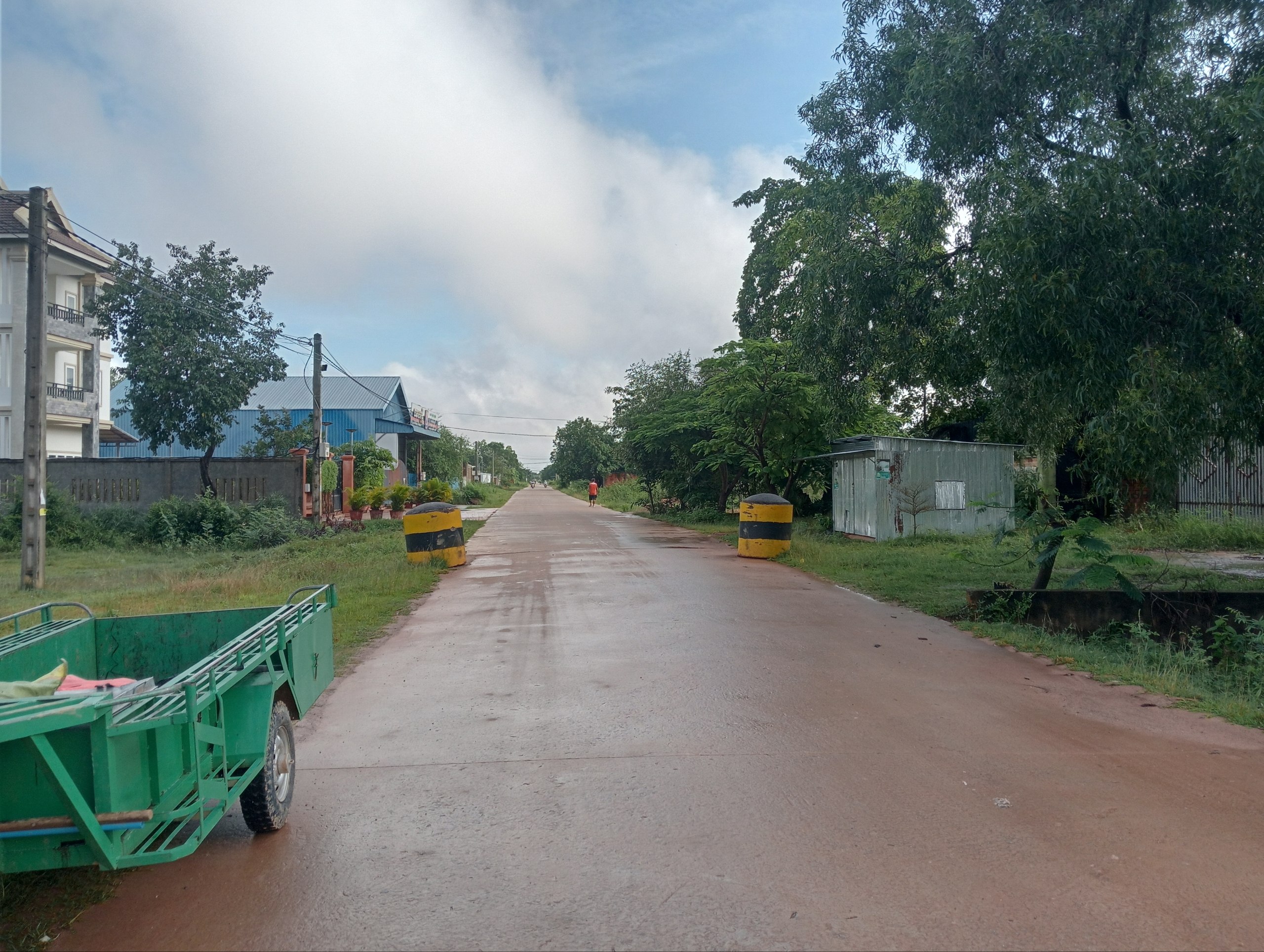 Stay Nature, Street garbage collection and clean up activities