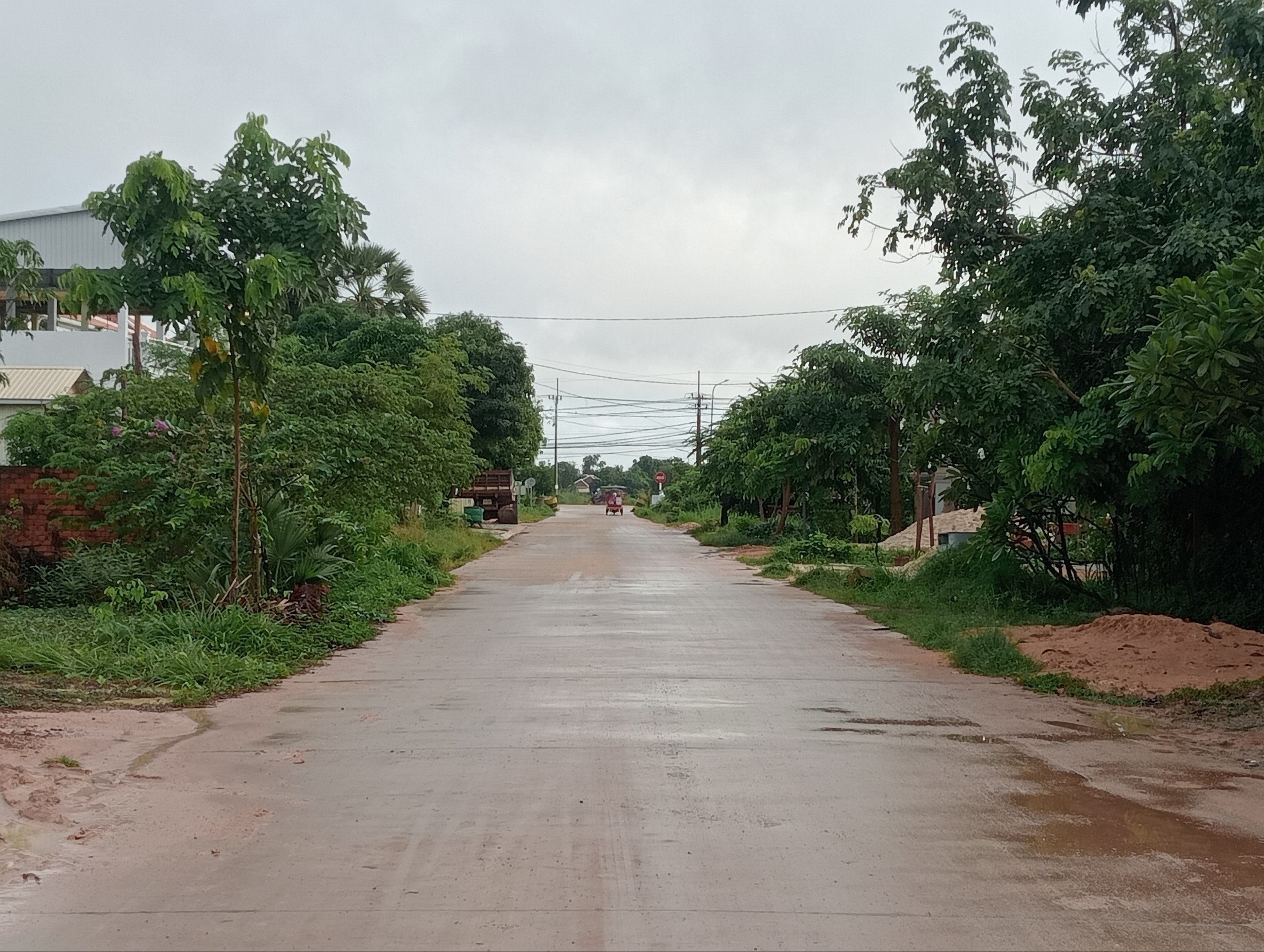 Stay Nature, Street garbage collection and clean up activities